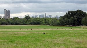 Wormwood Scrubs - credit: Flickr/Julian Tysoe (CC by 2.0)